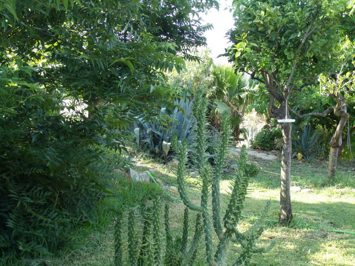 La Finca Blanca Alora Extérieur photo